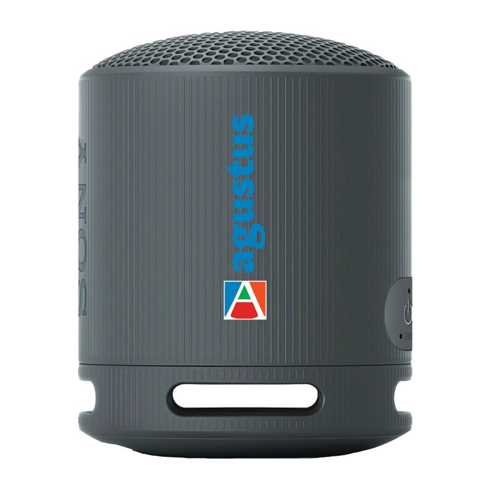 Sony SRS-XB100 Bluetooth Speaker