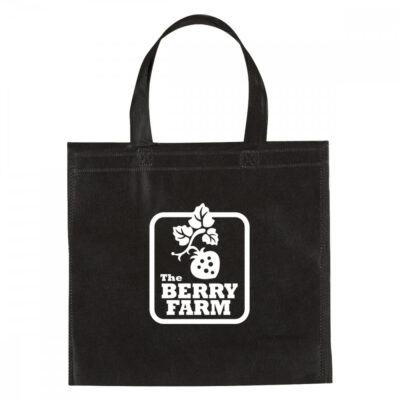 Non-Woven Mini Brochure Tote Bag