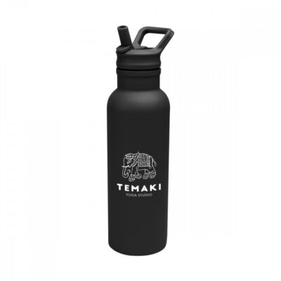 17 Oz. Hailey Recycled Stainless Steel Bottle
