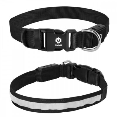 Light Up Rechargable Pet Collar - Medium