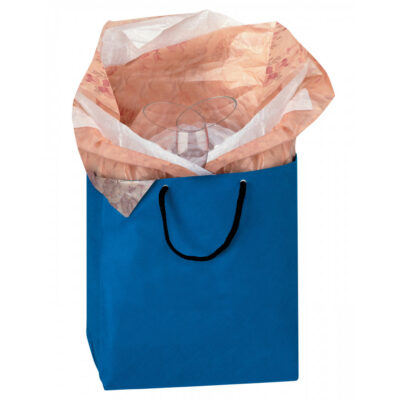 Non-Woven Gift Bag