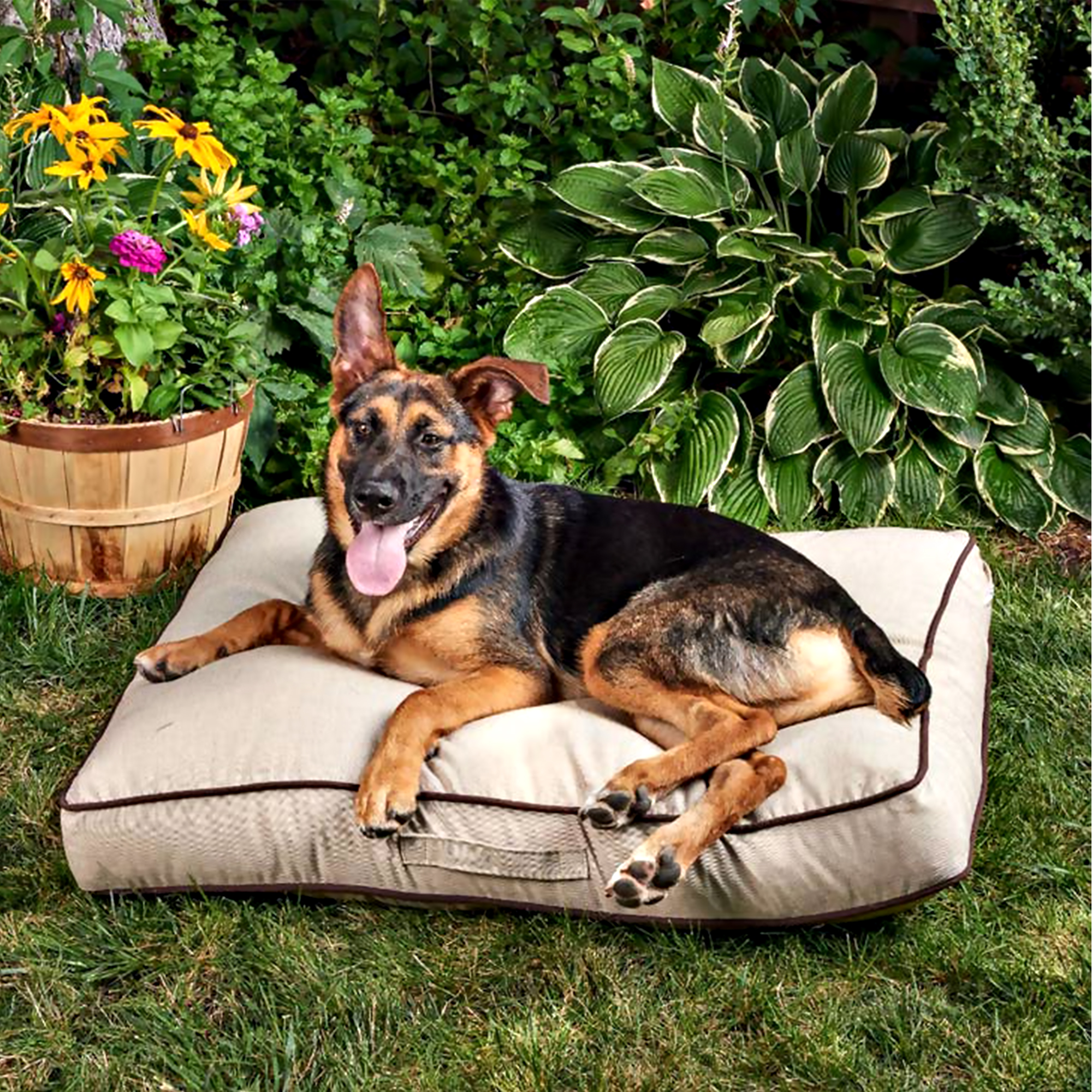 Personalized Dog Bed - Image 3
