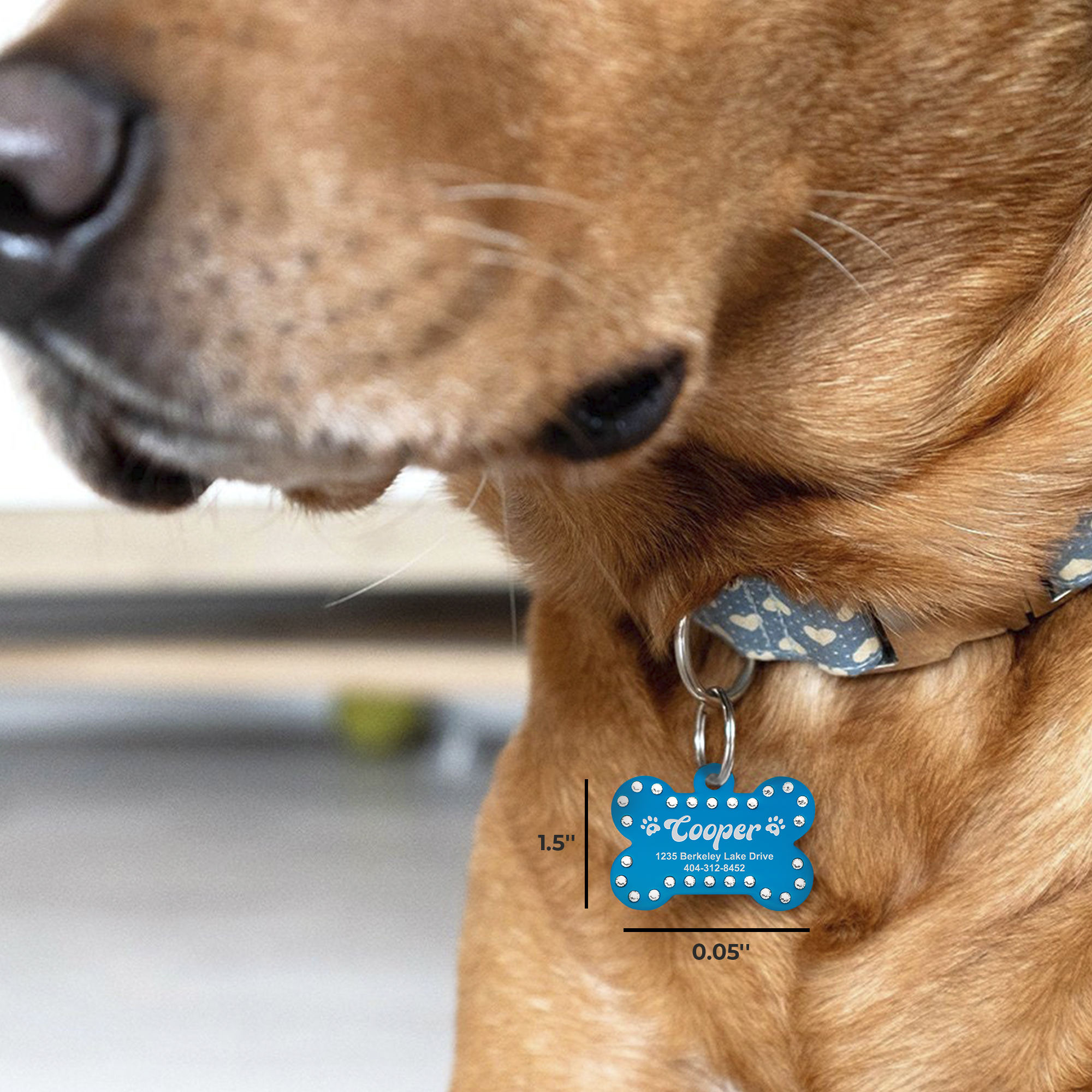 Personalized Aluminum Bling Bone Pet Tag - Image 3