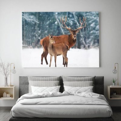 Deer with Fawn in Snow