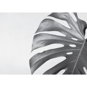 40 x 60cm (15.75" x 23.5")