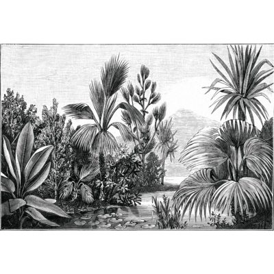 Illustration of Eocene Period Landscape Black & White Acrylic Print