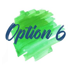Option 6