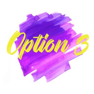 Option 3