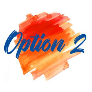 Option 2