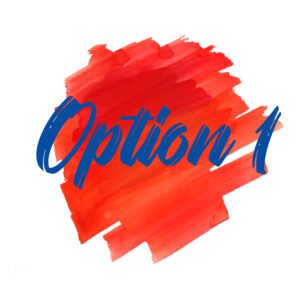 Option 1