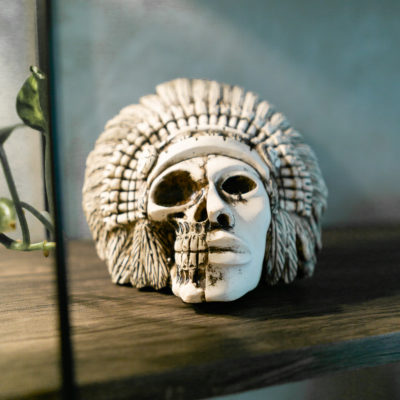 Indian Warrior Duality Skull