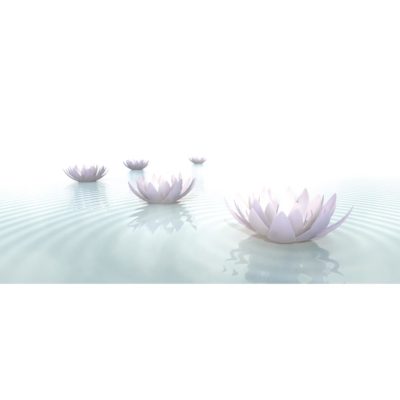 Zen Lotus Flowers in Water Acrylic Print