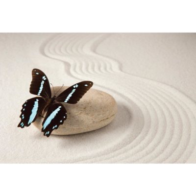 Zen Butterfly Acrylic Print