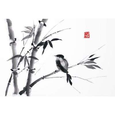Bamboo and Bird Ink Drawing Acrylic Print